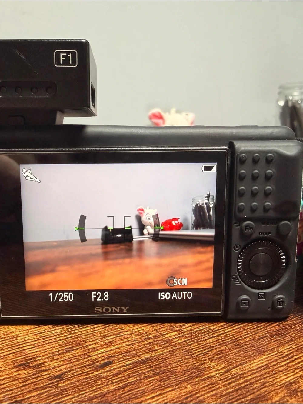 Sony Black Digital Camera with Zeiss Lens and Flash